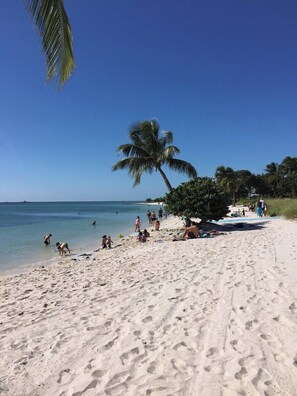 Une plage de sable avec des palmiers, où les gens profitent de l’eau.