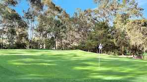 Ein Golfplatz mit Fahnenstange im Vordergrund und dichter Baumgruppe im Hintergrund.