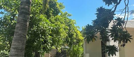 Overnattingsstedets uteområder