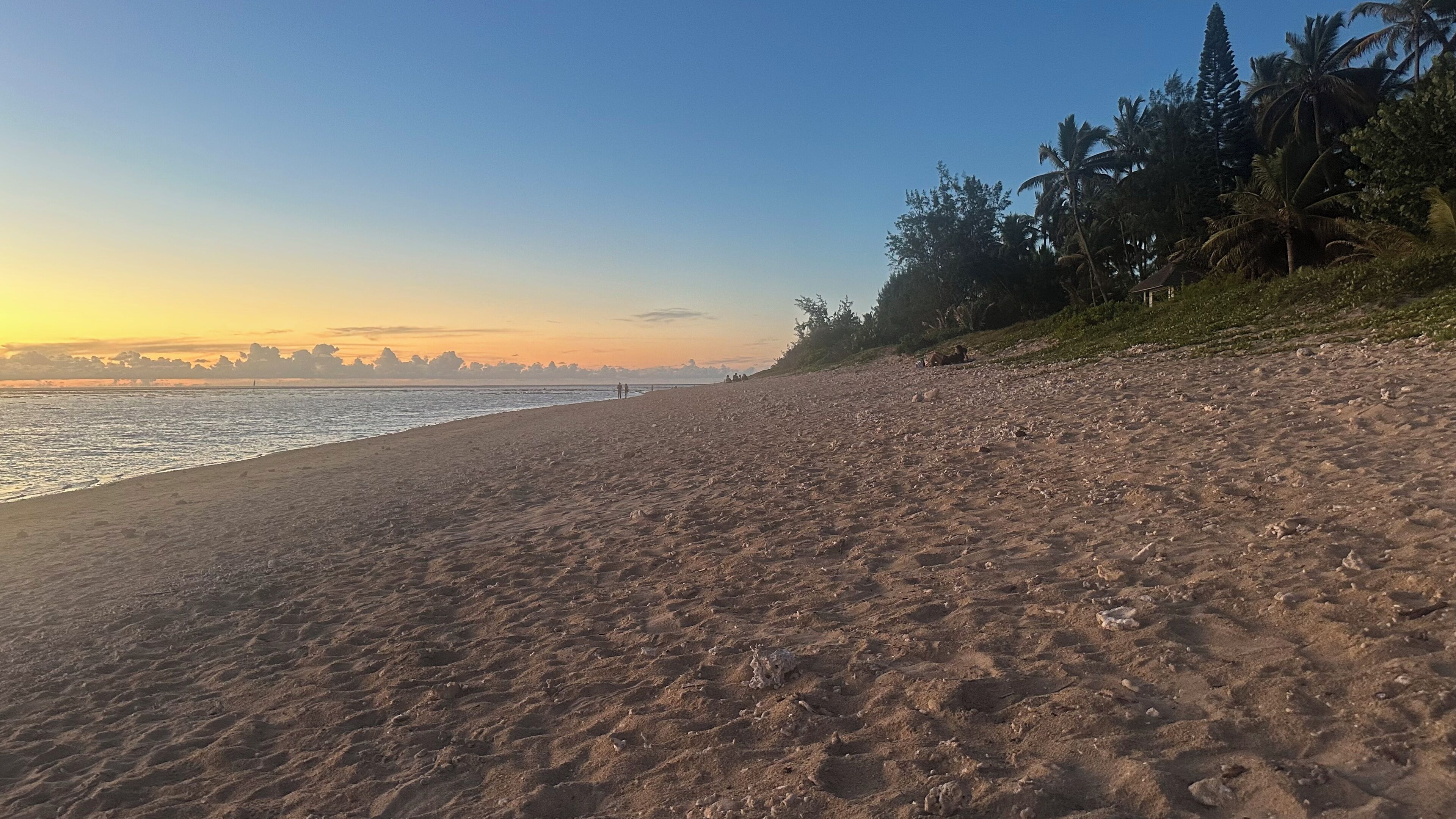 Serviettes de plage