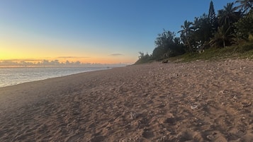 Serviettes de plage