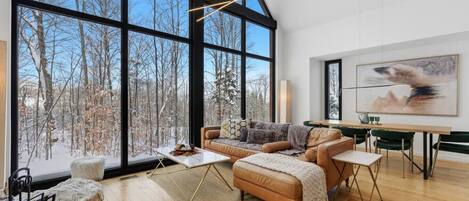 TV, fireplace, offices