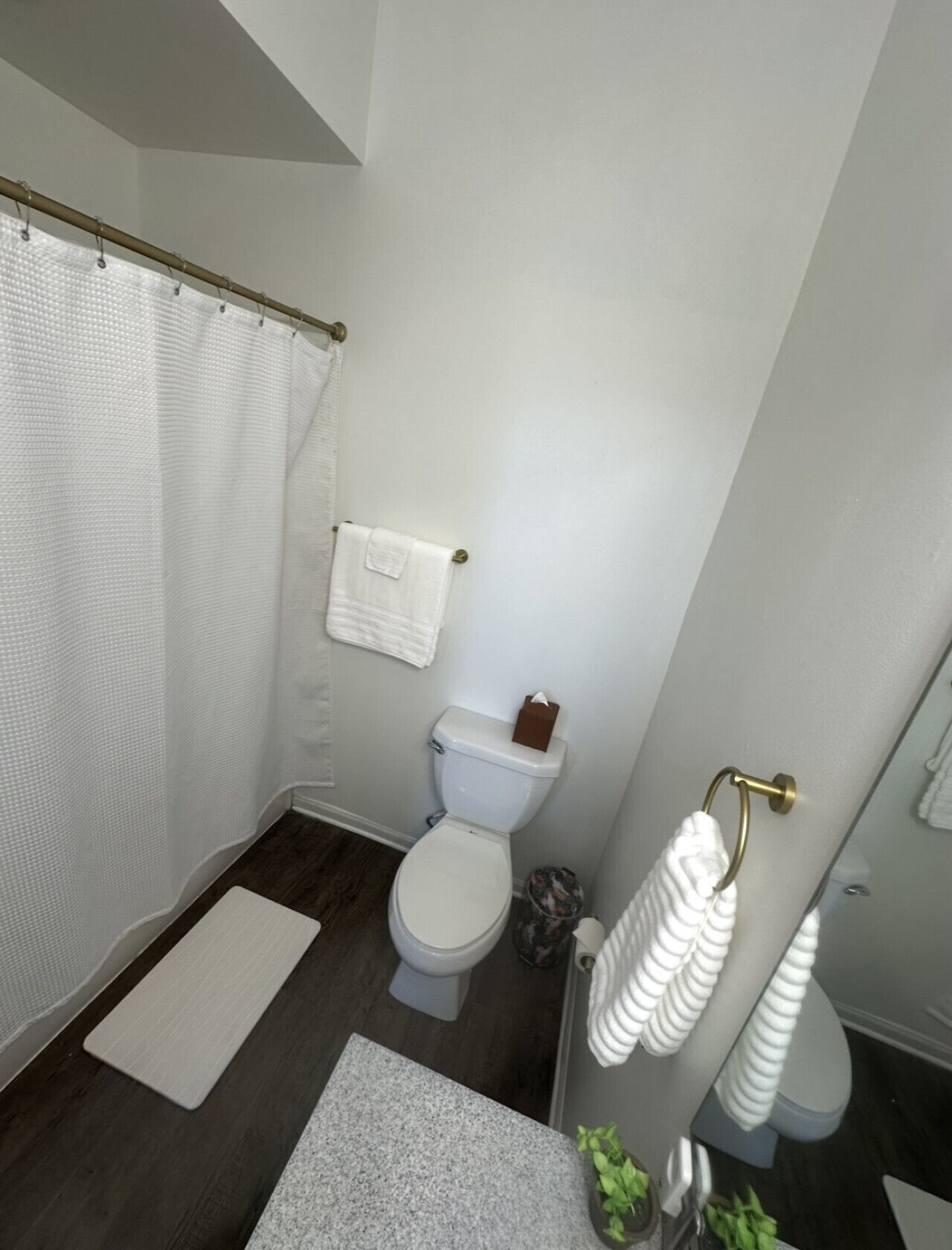 Un baño moderno con cortina de ducha, inodoro y toallero.