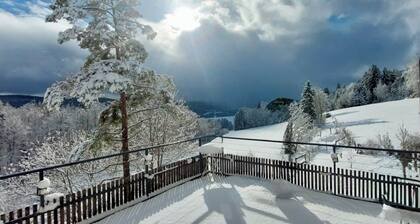 Lake view accommodation in the heart of nature