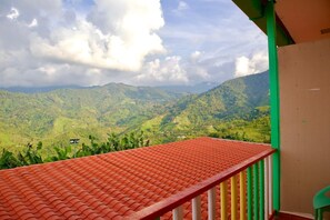 Property grounds - don joaquin  (Buenavista)