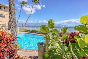 Pool - Right On The Beach & Just Steps to the Sand! A/C (Wailuku)