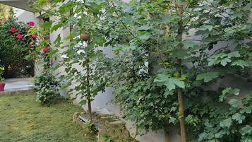 DĂ©tail de lâextĂ©rieur