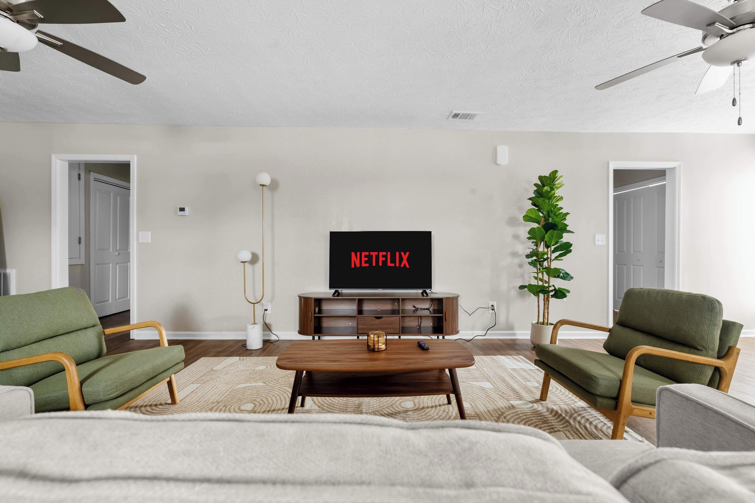 TV