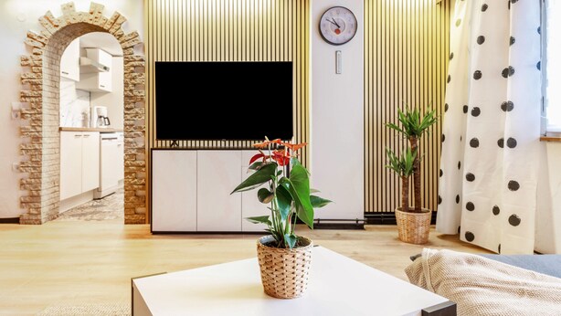 Un salon avec un téléviseur à écran plat, une plante en pot, une horloge et une arche en pierre.