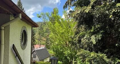 Holiday Home 'Waldhaus Zur Kleinbahn' with Mountain View, Shared Terrace and Wi-Fi