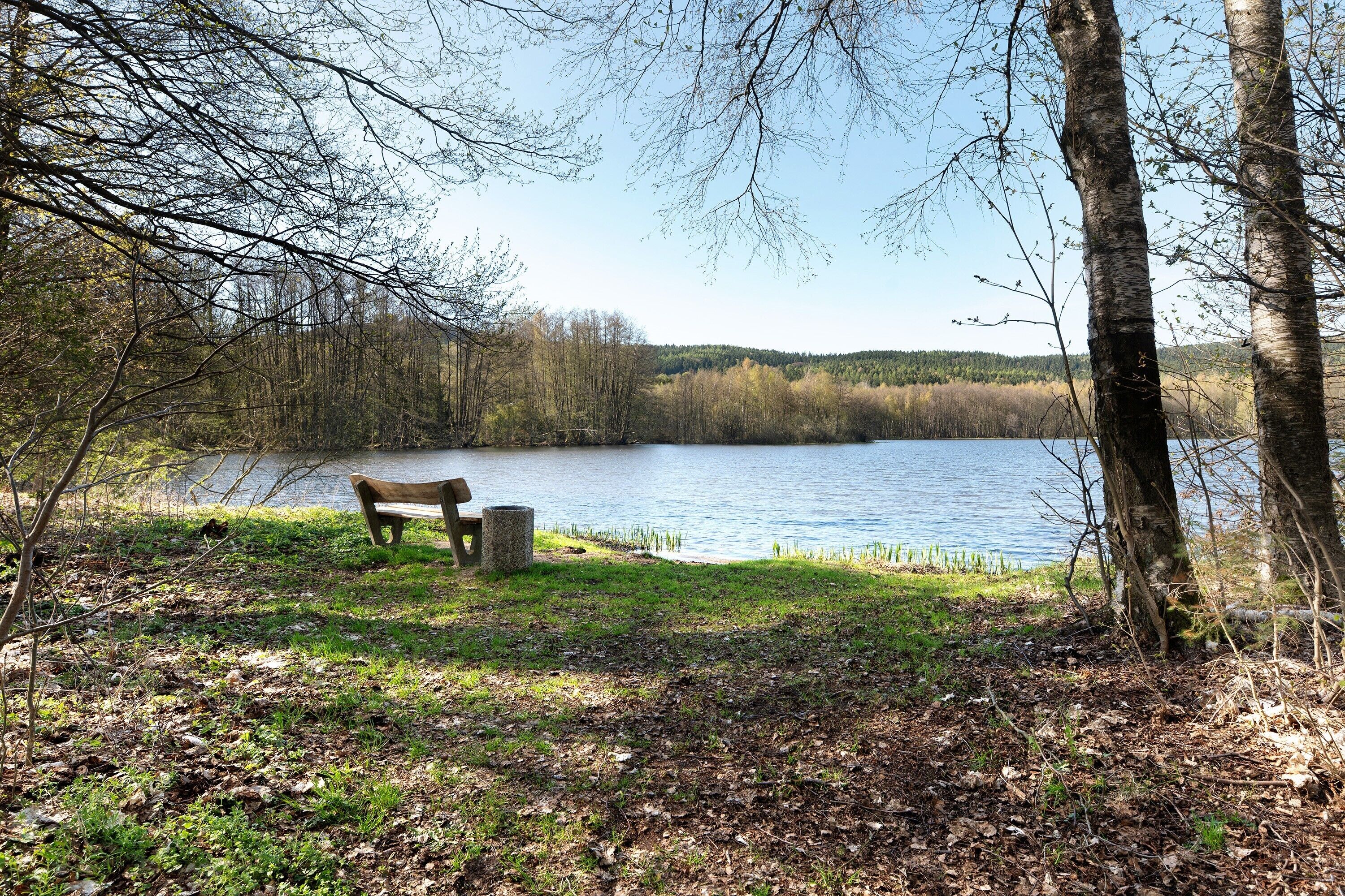 A bench by a lake with trees and a clear sky.
