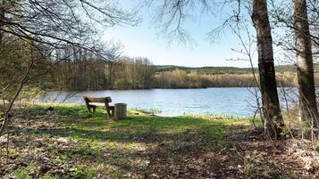 A bench by a lake with trees and a clear sky.