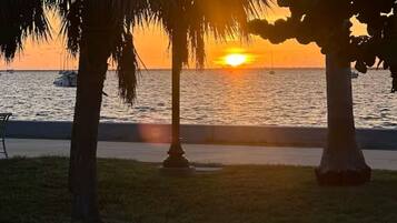 Sun loungers, beach towels