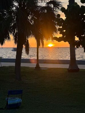 Camastros y toallas de playa 