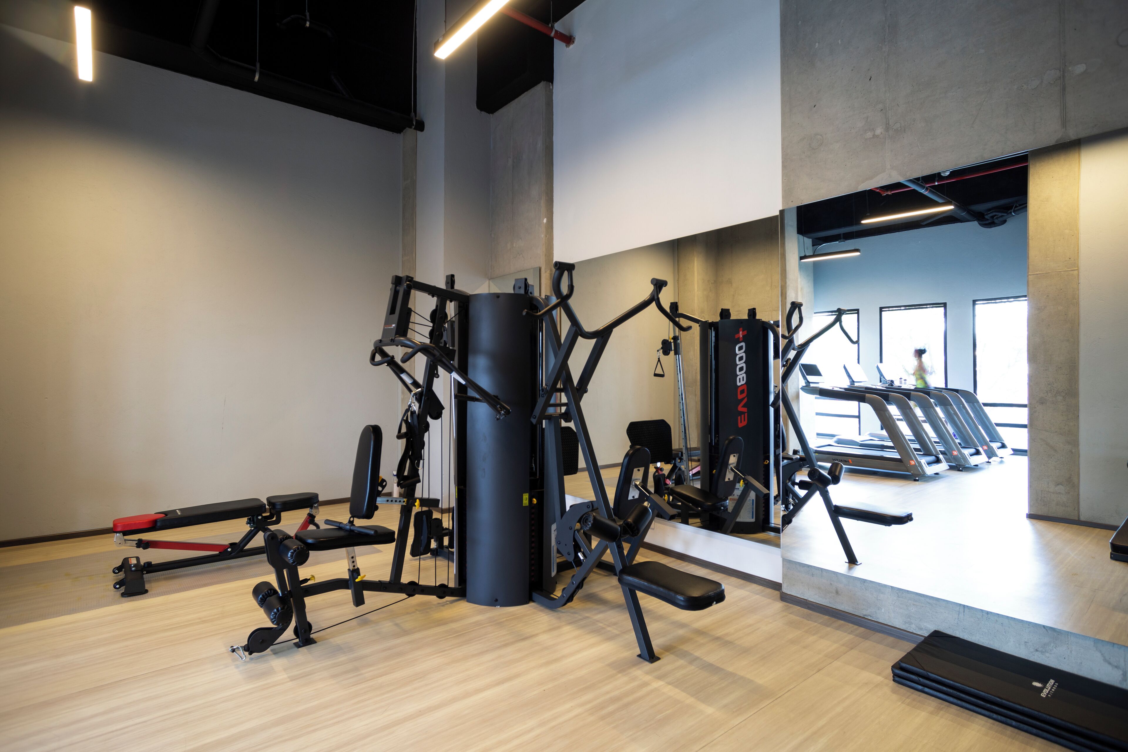 A gym with various exercise equipment, including a squat rack, bench press, and treadmills.