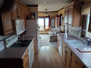 Mikrovågsugn, ugn, spishäll och diskmaskin