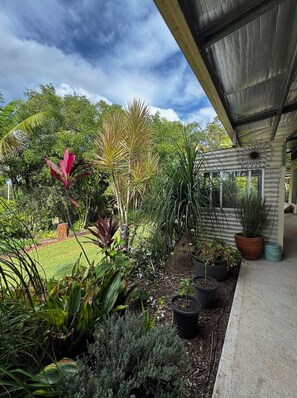 Property grounds - Elysium House - Private, Peaceful Farm Stay Near Yeppoon (Bondoola)
