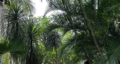 Elysium House - Private, Peaceful Farm Stay Near Yeppoon