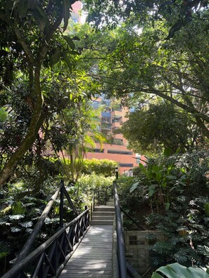 A wooden bridge leading to a staircase surrounded by lush greenery. - PENTHOUSE RIO CLARO 1002 (Medellín)