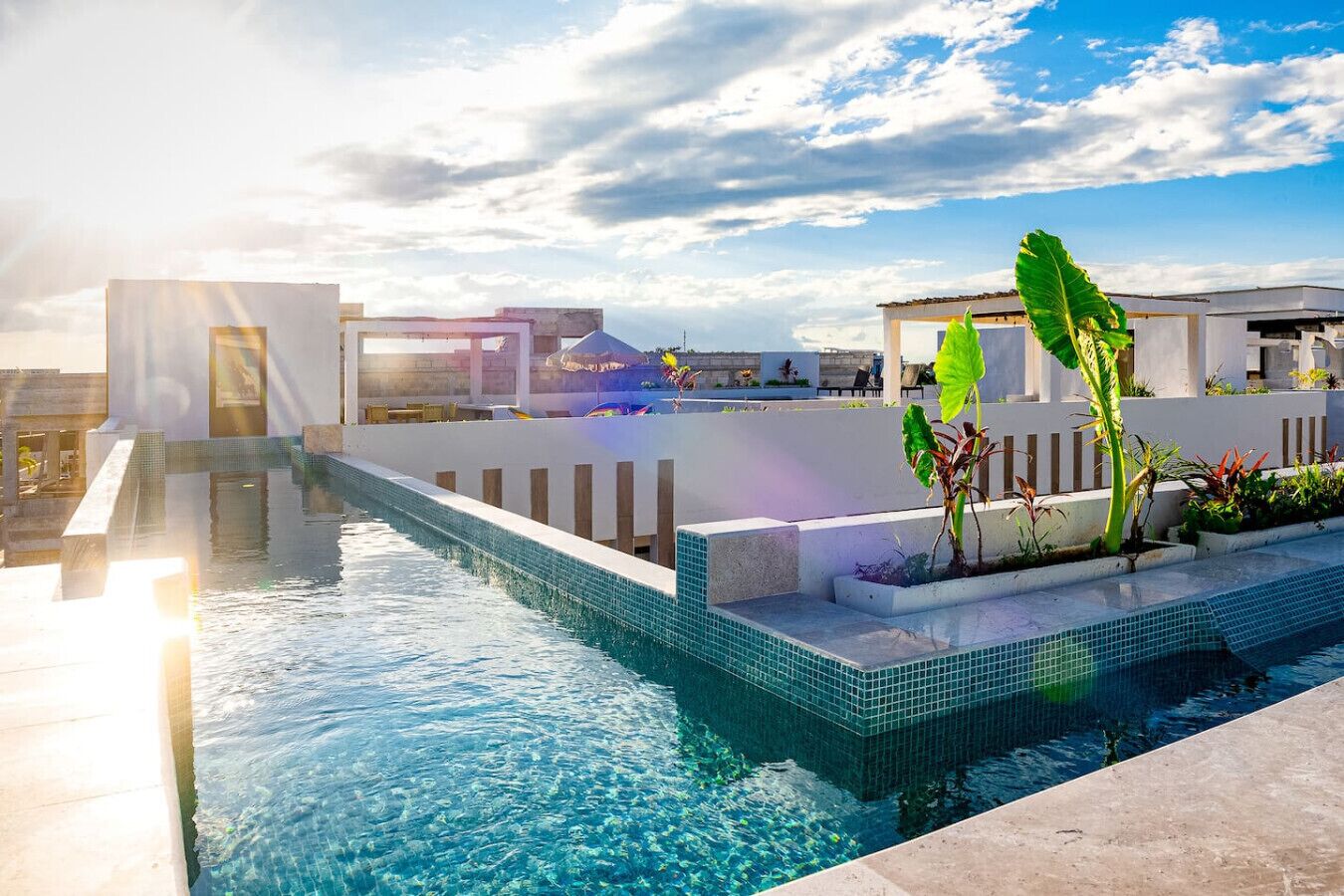 A swimming pool with clear blue water, surrounded by white walls and a few plants.