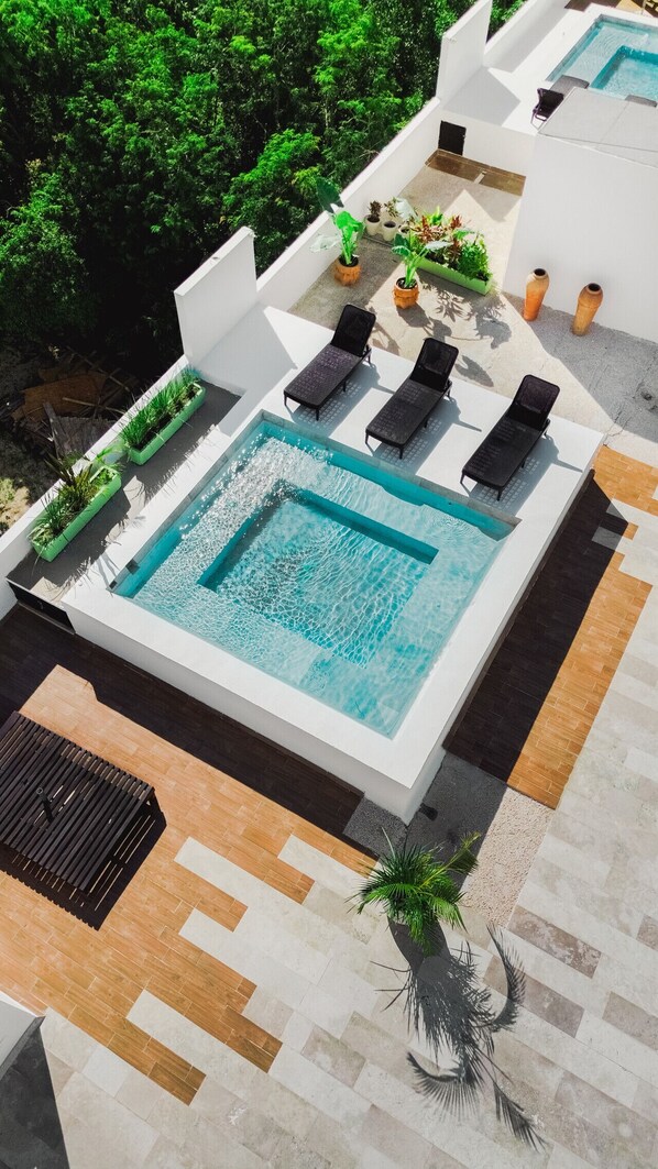 Un espace piscine aménagé sur le toit, avec une piscine rectangulaire, des chaises longues et des plantes en pot.