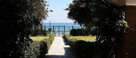 A pathway leading to a beach view, framed by lush greenery and a brick wall.