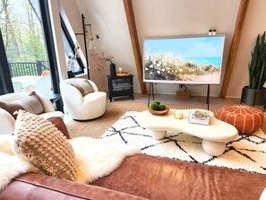 TV, fireplace, books