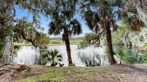 A serene lakeside scene with mature trees and a calm water body. - Colorful 3-Bedroom Dog-Friendly Condo Near the Ocean, Fernandina Beach (Fernandina Beach)