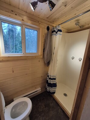 Shower, towels, toilet paper
