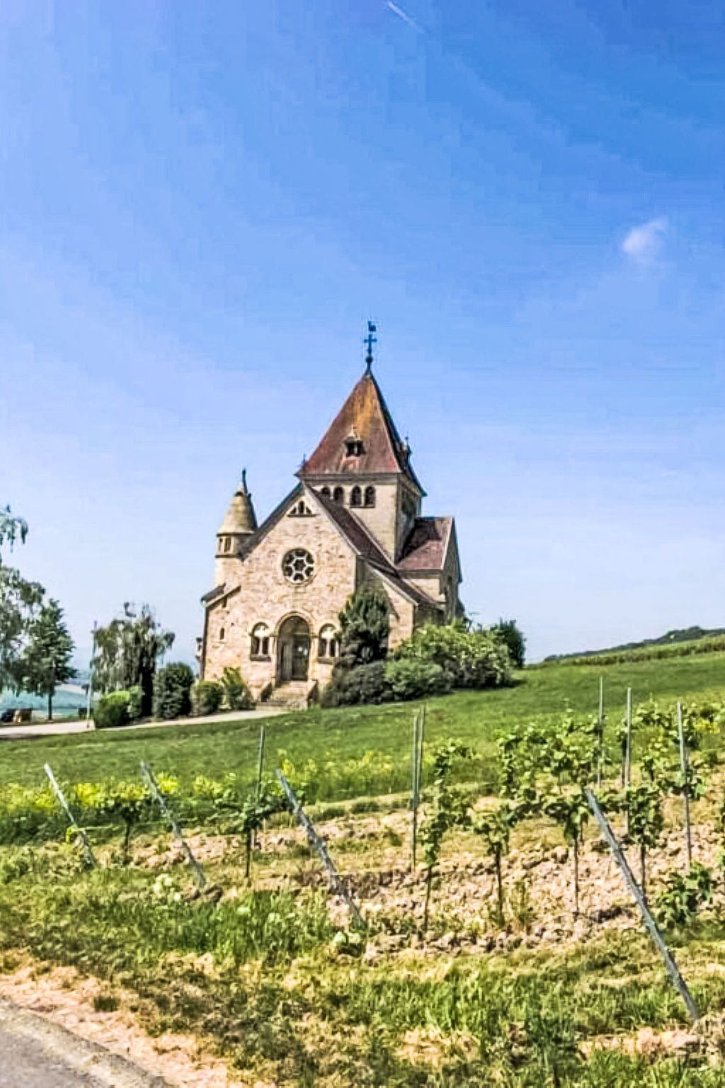 Eine steinerne Kirche mit spitzer Dachform und einem Glockenturm, umgeben von einem Weinberg.