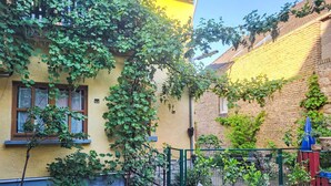 A courtyard with a yellow building, potted plants, and a metal fence.