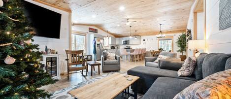 Télévision, cheminée, jeux vidéo, lecteur de DVD