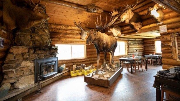 A log cabin interior with a stone fireplace, wooden dining area, and mounted animal heads. - Tatogga Lake Resort (Iskut)