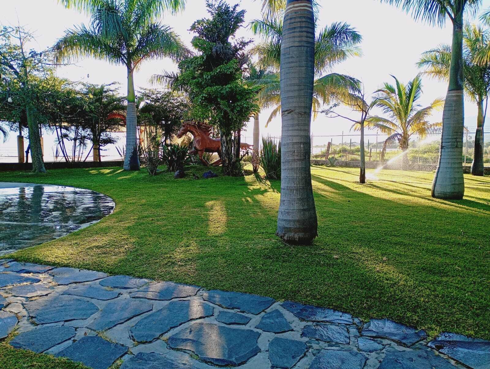 Parco della struttura