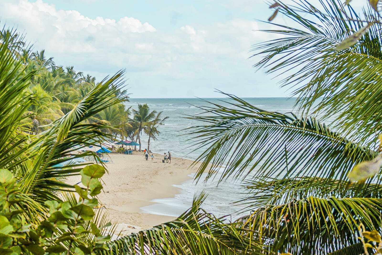 A beach with palm trees, a sandy shore, and a few people walking.