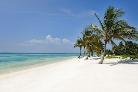 A beach with white sand and clear turquoise water. There are palm trees and a clear blue sky.. Corales 50 - Golf front villa with ocean view with full staff