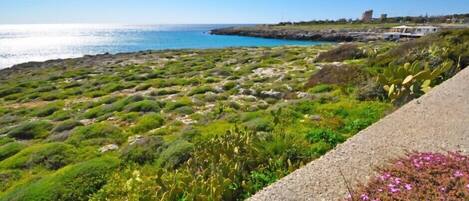 Playa en los alrededores