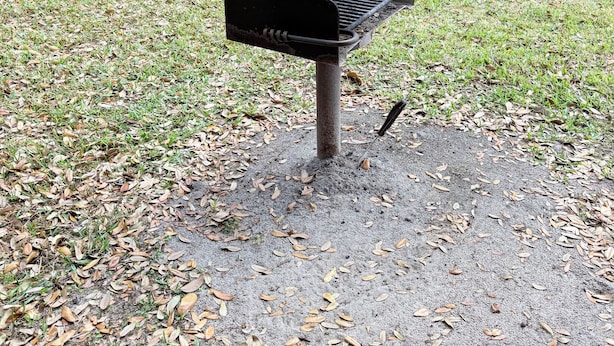 A barbecue grill in a park with trees and a lake in the background.