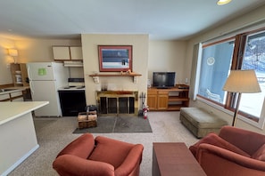 TV, fireplace - Ski-in/ski-out condo w/ wood-burning fireplace, patio, shared bbq, w/d, wifi (West Dover)