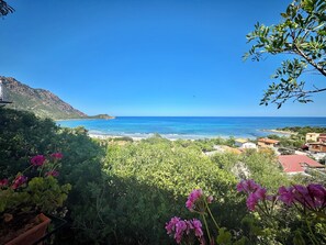 Beach - " Sea View Joy Collection " (tertenia)