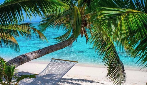 Golden Palms Rarotonga
A cosy, affordable apartment in town close to everything.