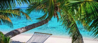 Golden Palms Rarotonga
A cosy, affordable apartment in town close to everything.