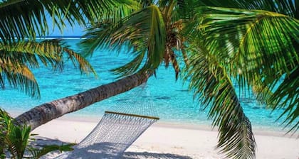 Golden Palms Rarotonga
A cosy, affordable apartment in town close to everything.