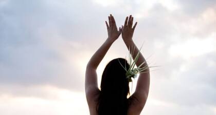 Golden Palms Rarotonga
A cosy, affordable apartment in town close to everything.