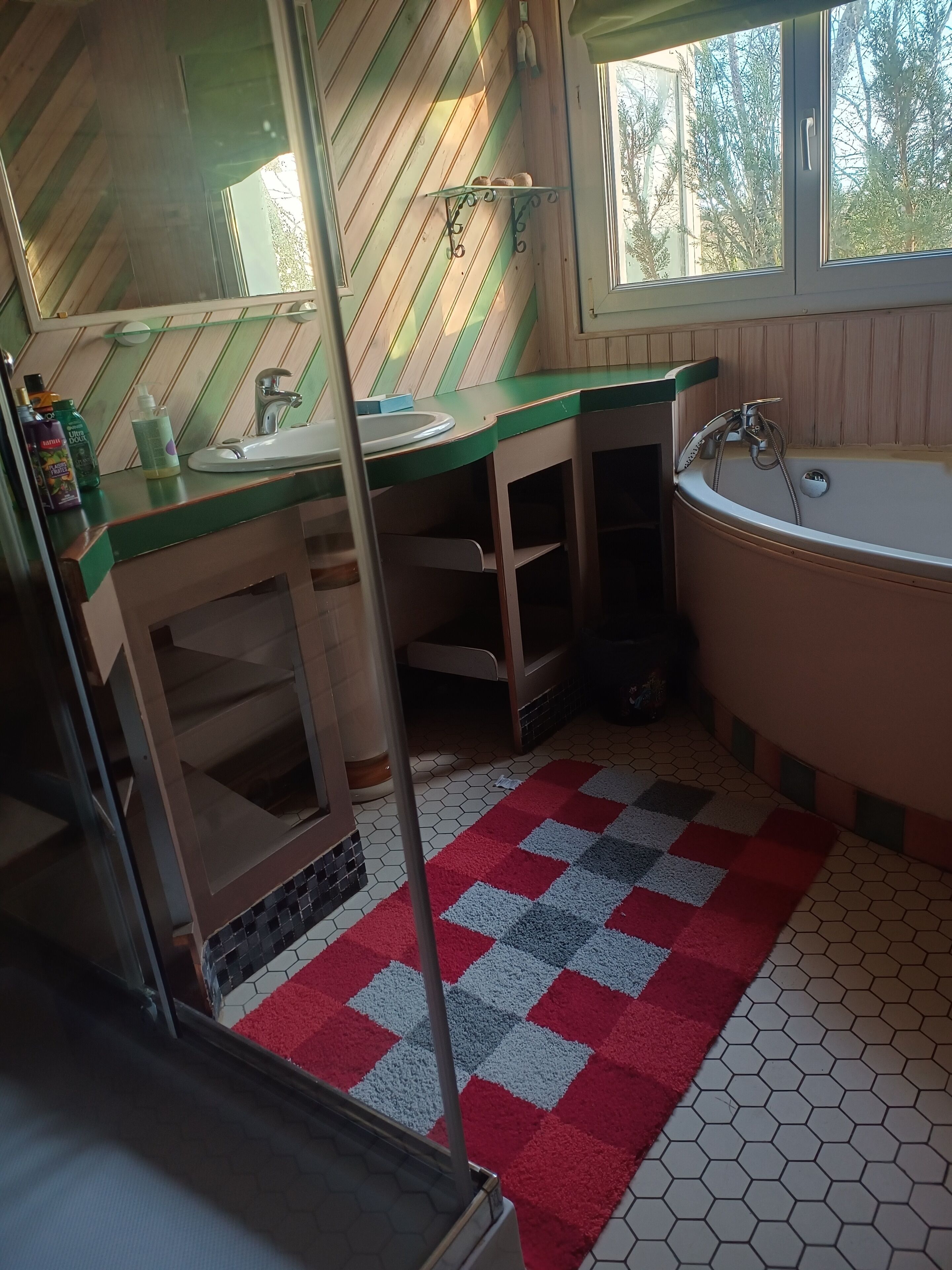 Hair dryer, towels, toilet paper