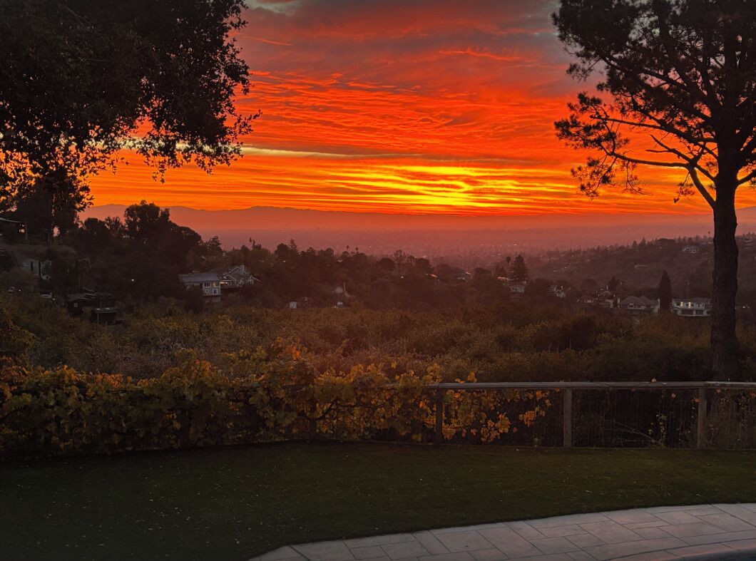 A sunset over a residential area with houses and trees.