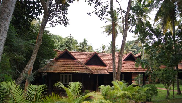 A traditional wooden house with a tiled roof, surrounded by lush greenery and palm trees.