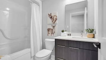 Séchoir à cheveux, serviettes fournies, savon, papier de toilette