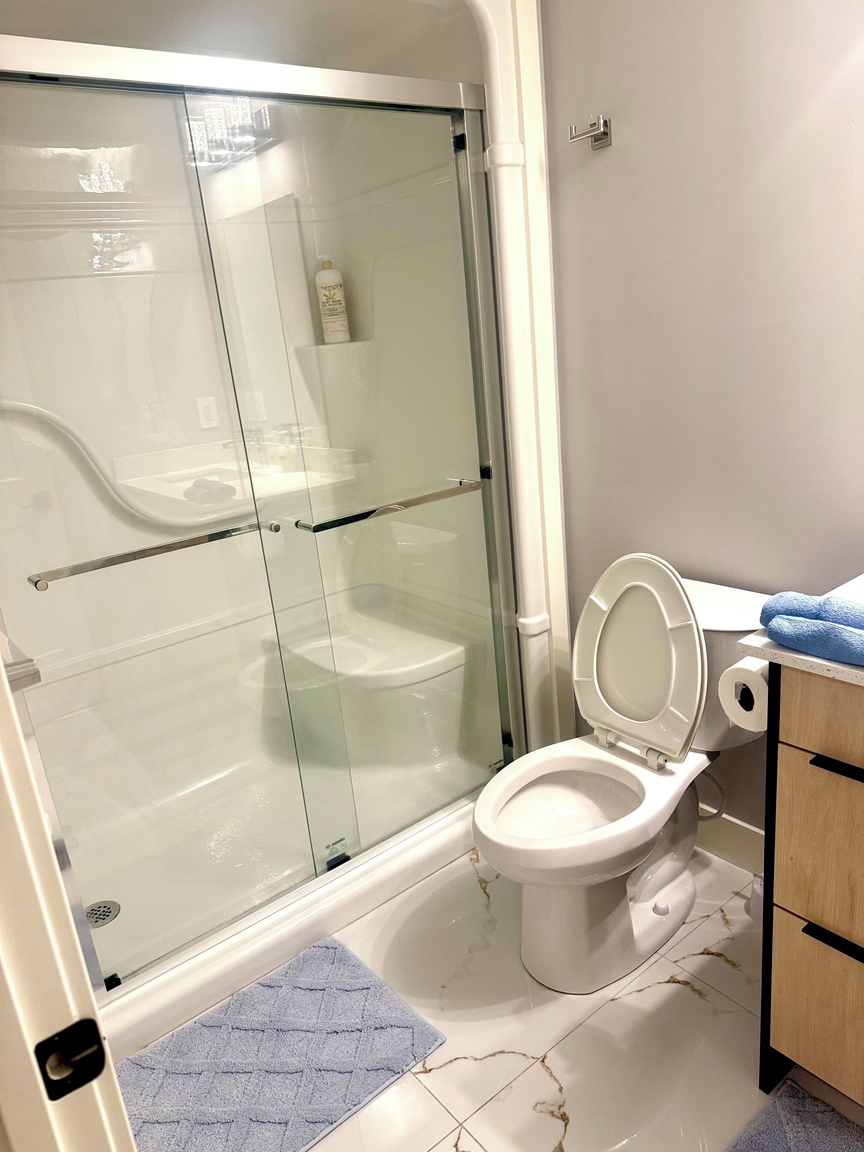 Hair dryer, towels, soap, toilet paper