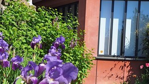 A building with large windows, a stone wall, and purple flowers in the foreground. - Accommodation in the Heart of the Nantes Vineyard - Near Clisson (Mouzillon)